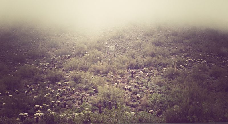 Kate Eschbach Photography-135