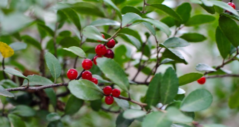 Kate Eschbach Photography-47