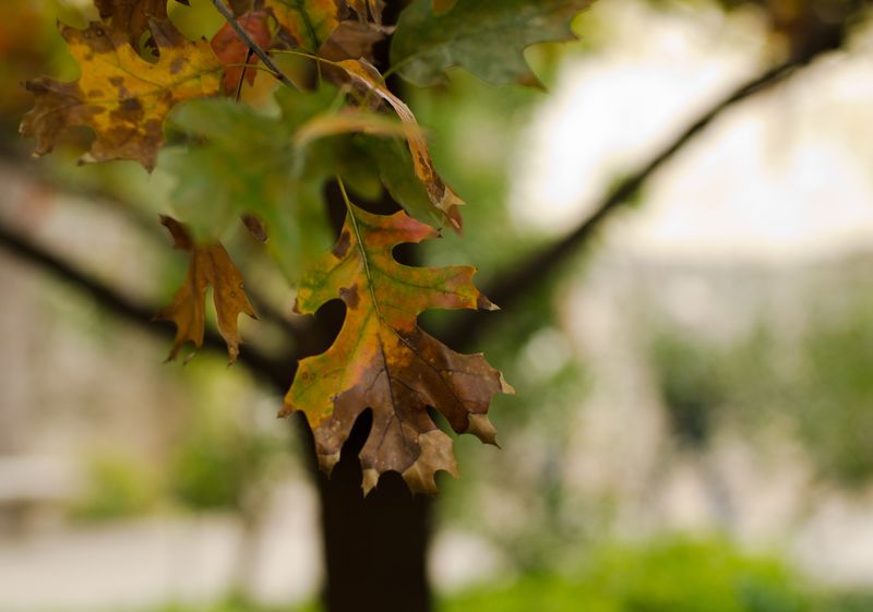 Kate Eschbach Photography-50