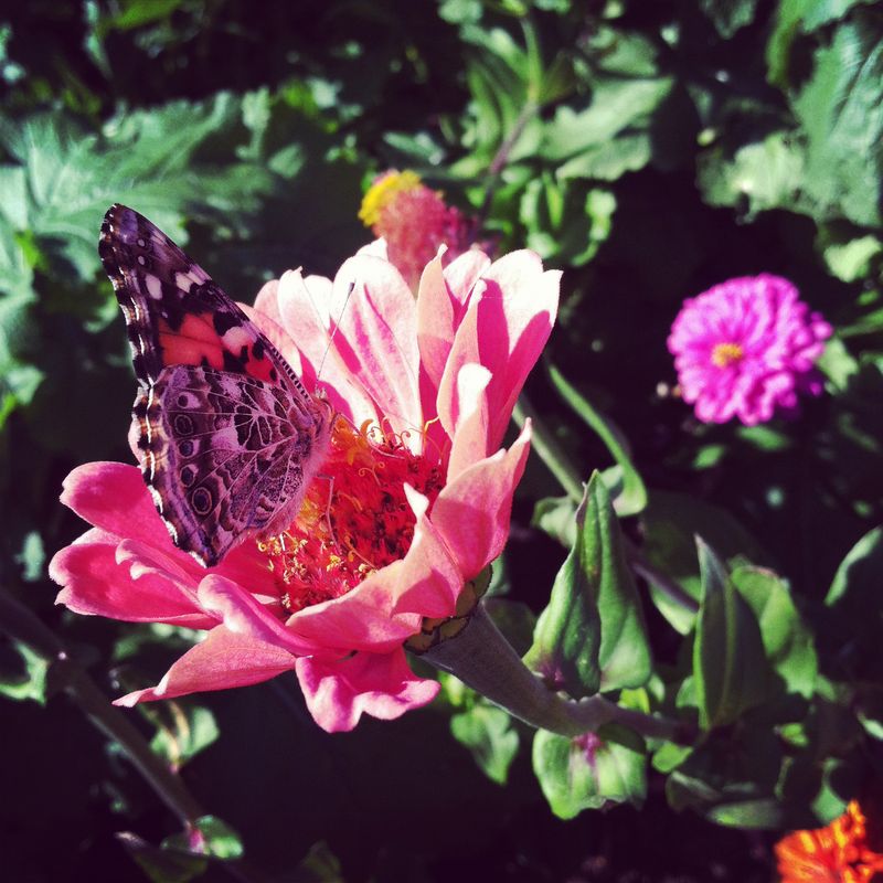 Kate Eschbach Photography-2