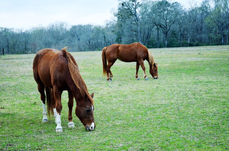Kate Eschbach Photography-500internet