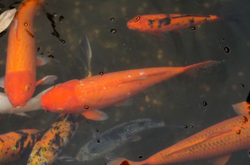 Kate Eschbach Photography-36