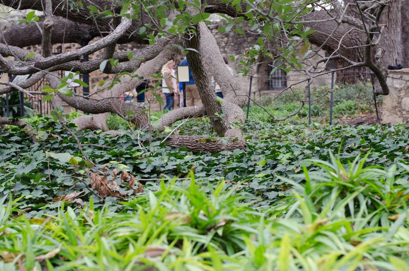 Kate Eschbach Photography-45