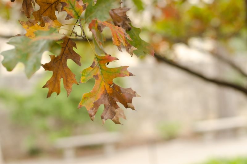 Kate Eschbach Photography-51