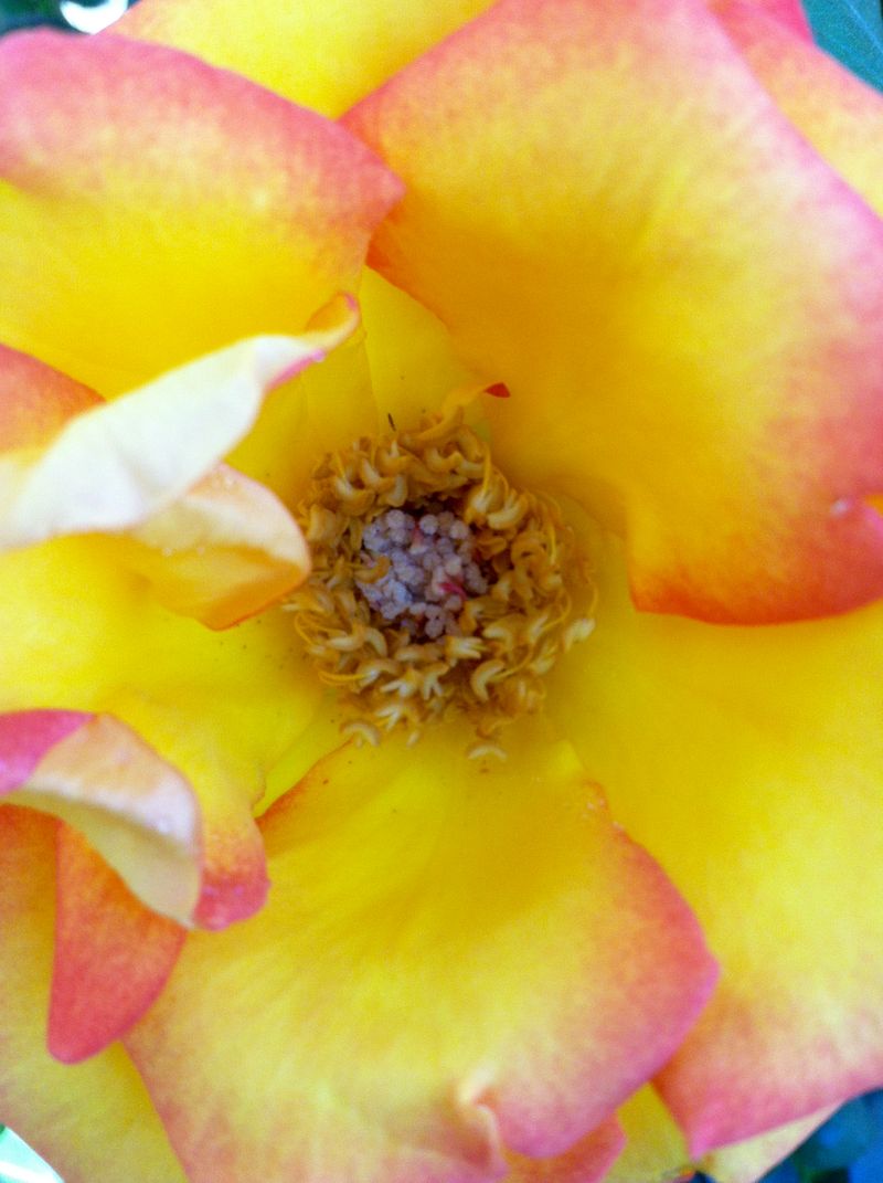 Kate Eschbach Photography-1