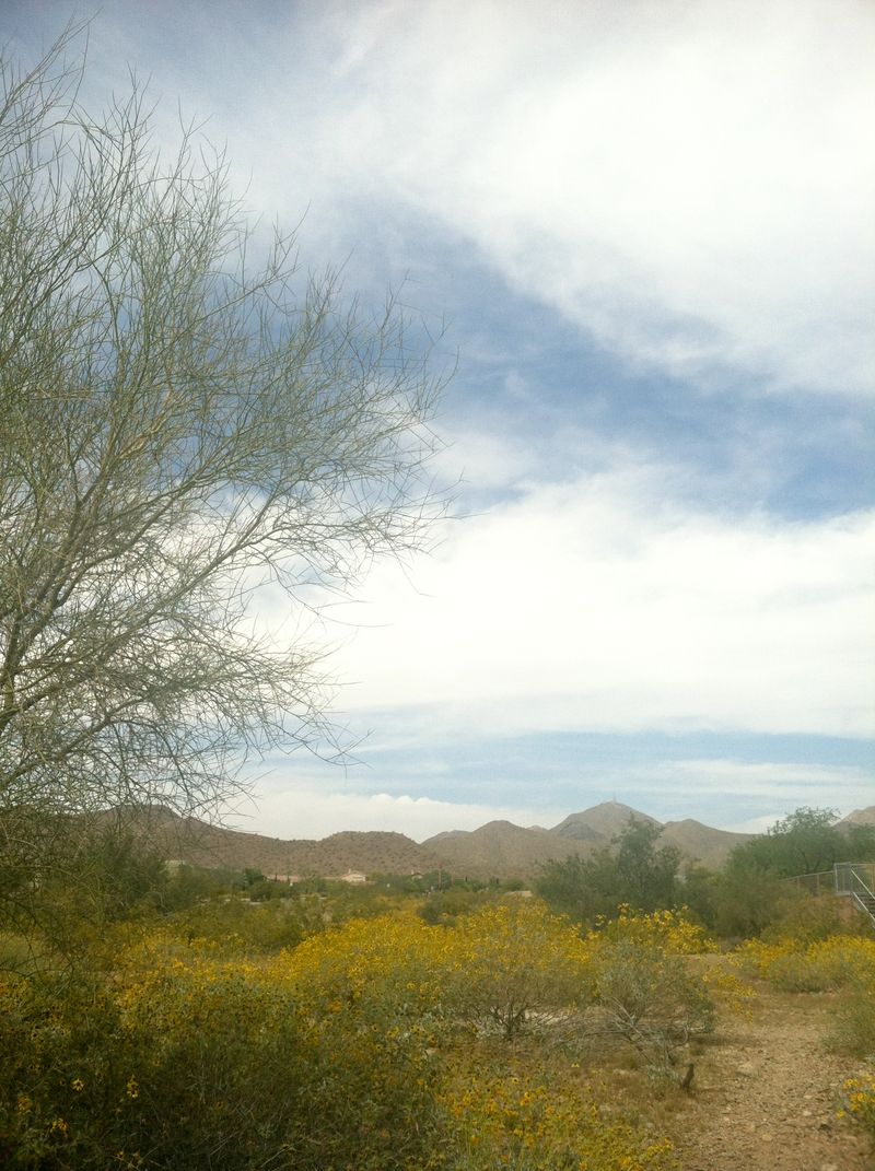 Kate Eschbach Photography-7