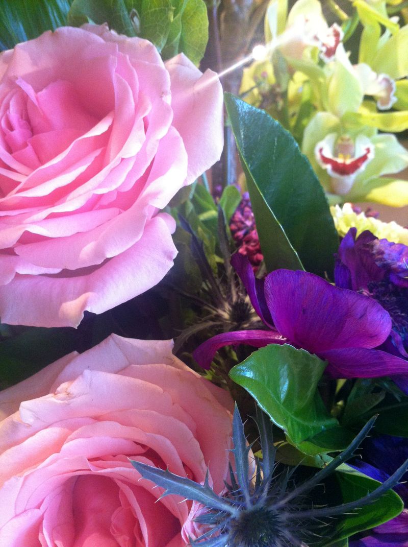 Kate Eschbach Photography-4