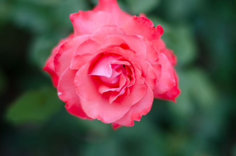 Kate Eschbach Photography-371