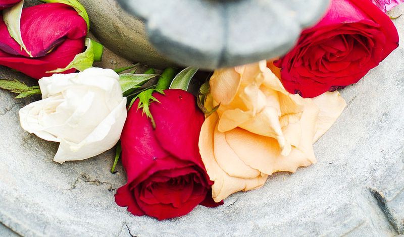 Kate Eschbach Photography-1a