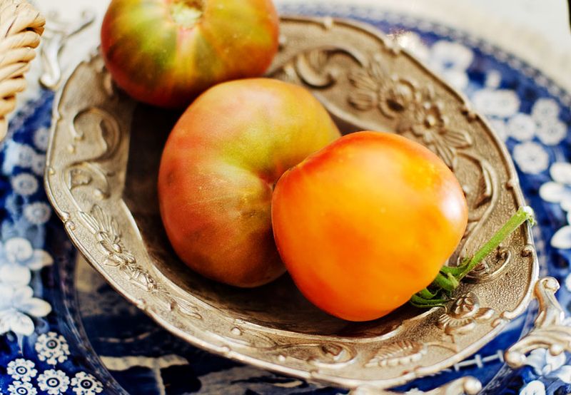 Kate Eschbach Photography-1a