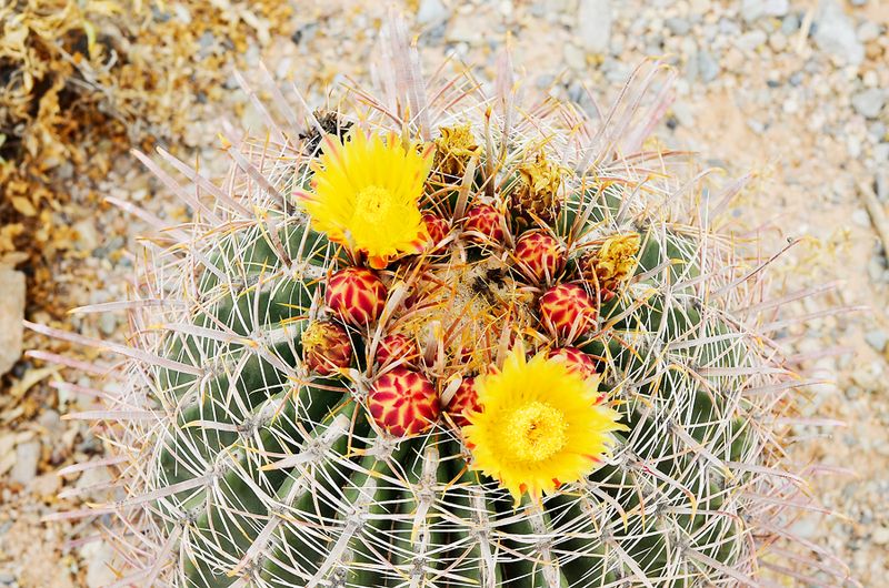 Kate Eschbach Photography-2a