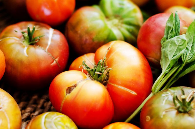 Kate Eschbach Photography-2a