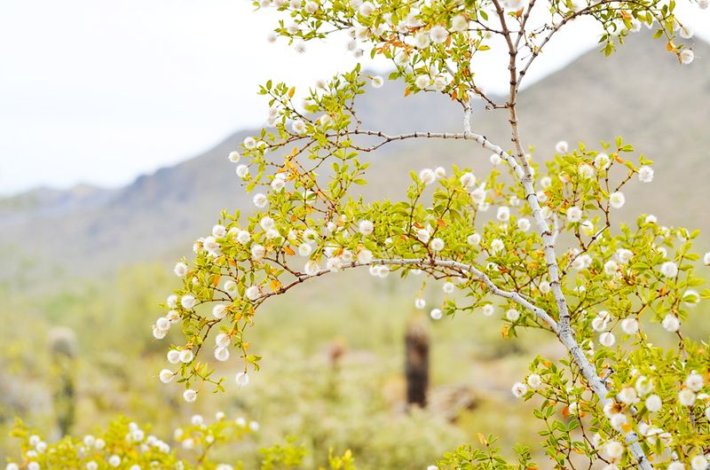 Kate Eschbach Photography-23a