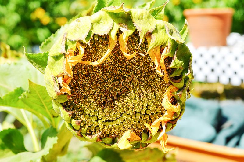 Kate Eschbach Photography-3a