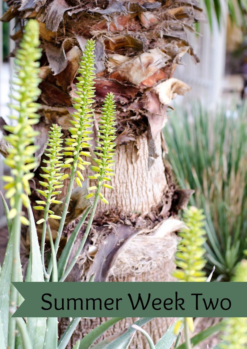 Kate Eschbach Photography-22a