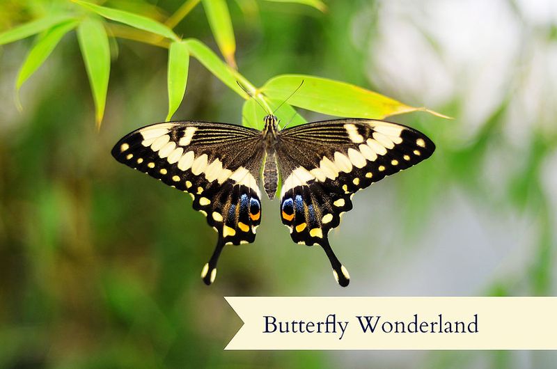 Kate Eschbach Photography-15ab