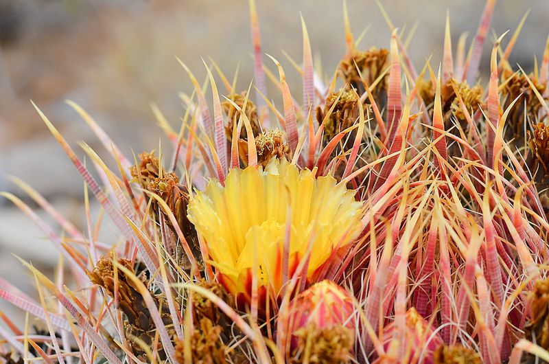 Kate Eschbach Photography-4a