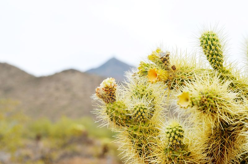 Kate Eschbach Photography-13a