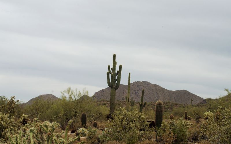 Kate Eschbach Photography-39a