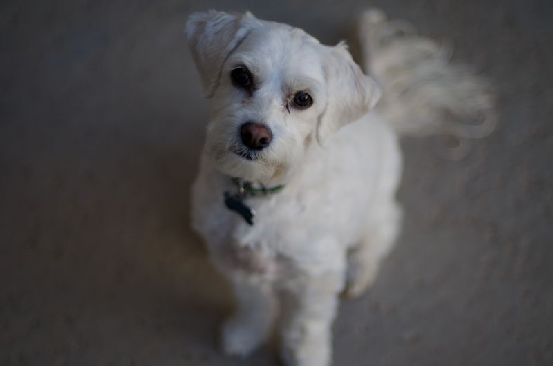 Kate Eschbach Photography-1