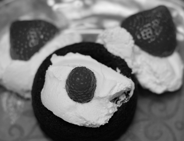 Countdown to #disney - Kate Eschbach Photography-4a