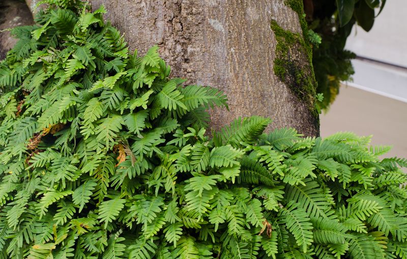  Kate Eschbach Photography-13