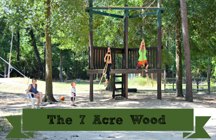 Seven Acre Woods - Kate Eschbach Photography-6ab