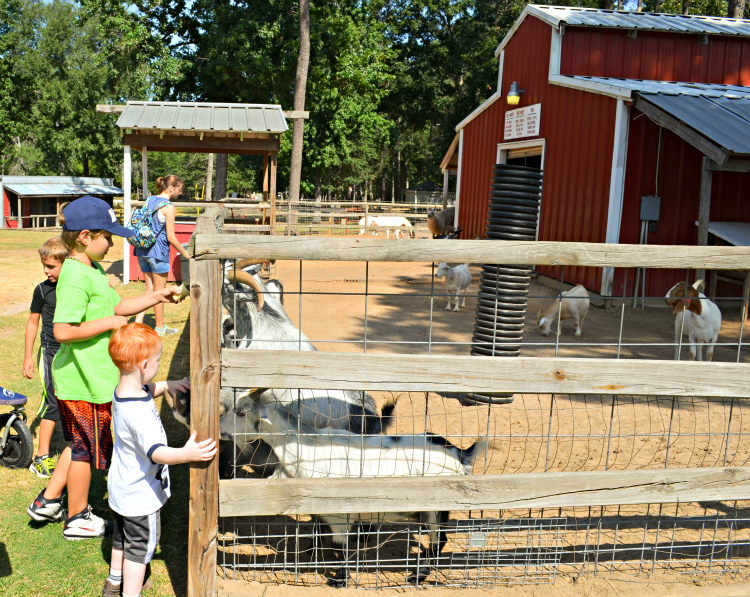 Seven Acre Woods - Kate Eschbach Photography-1a