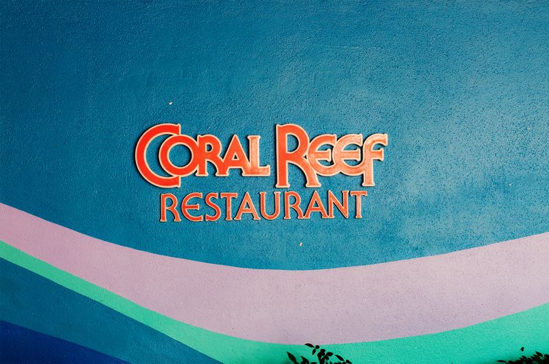 Kate Eschbach Photography-5a