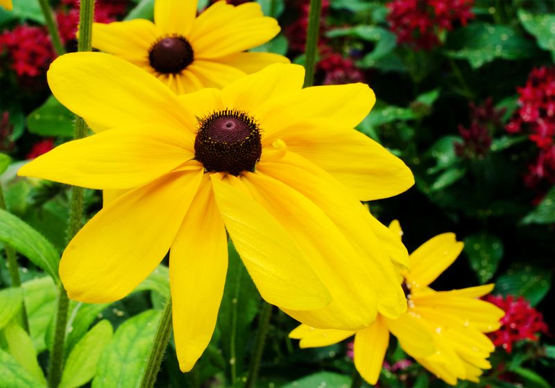 Kate Eschbach Photography-4a