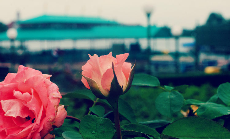 Kate Eschbach Photography-200a