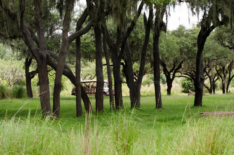  Kate Eschbach Photography-303