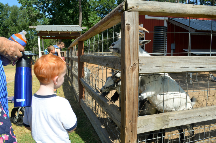 Seven Acre Woods - Kate Eschbach Photography-2a