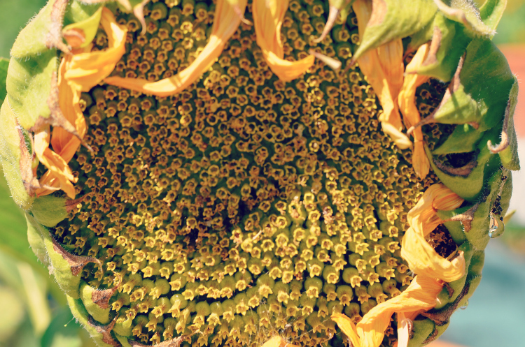 Kate Eschbach Photography-12a