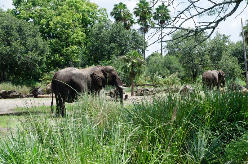  Kate Eschbach Photography-304