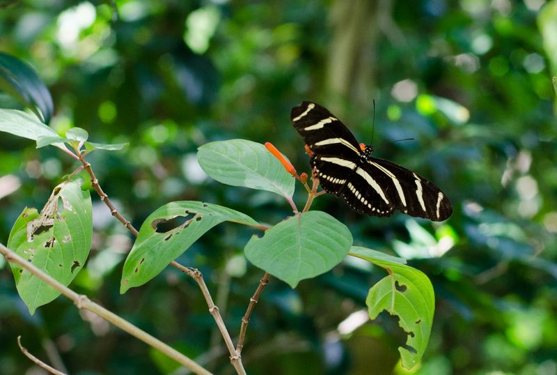  Kate Eschbach Photography-305