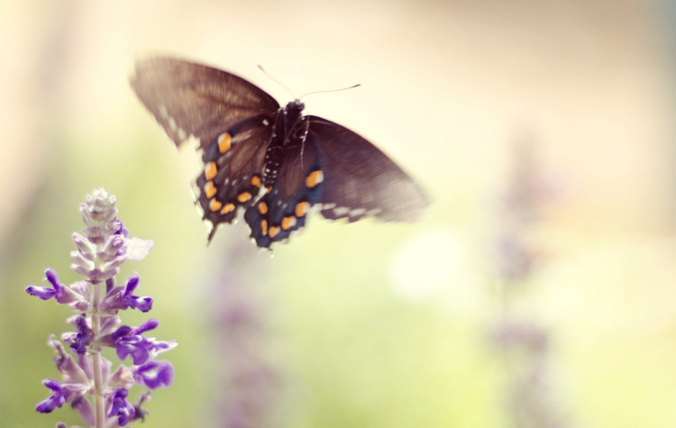 Kate Eschbach Photography-42a