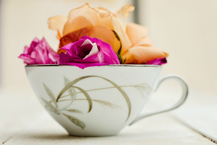 Kate Eschbach Photography-8ci