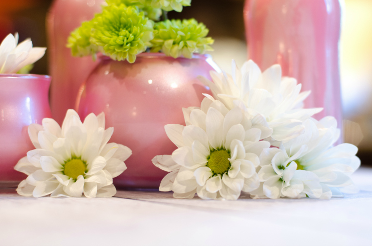 #MarthaStewart - Kate Eschbach Photography-1 #MarthaStewart - Kate Eschbach Photography-1