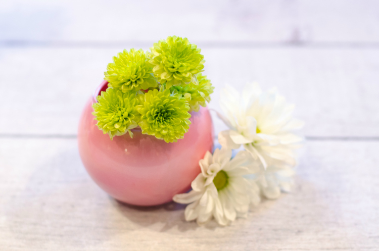 #MarthaStewart - Kate Eschbach Photography-2 #MarthaStewart - Kate Eschbach Photography-2