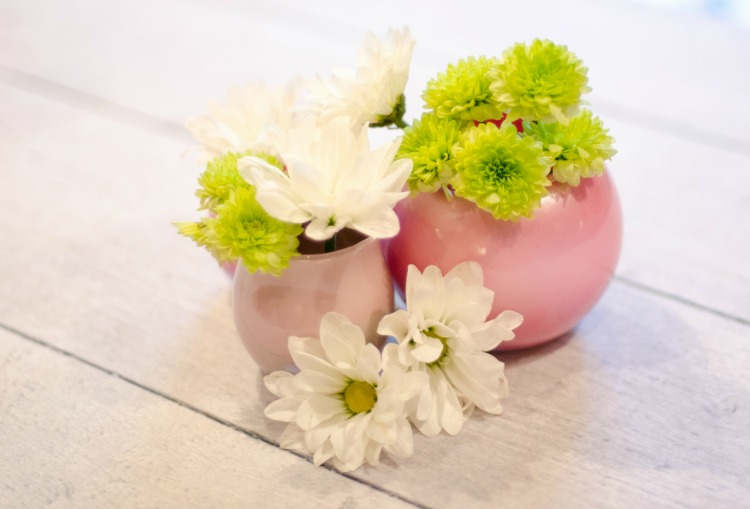 #MarthaStewart - Kate Eschbach Photography-7 #MarthaStewart - Kate Eschbach Photography-7