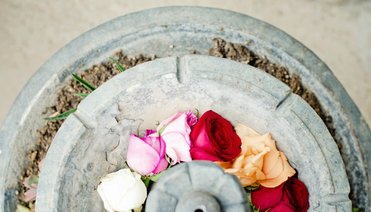 Kate Eschbach Photography-18ai