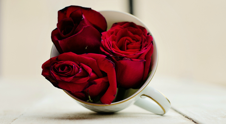 Kate Eschbach Photography-12ai