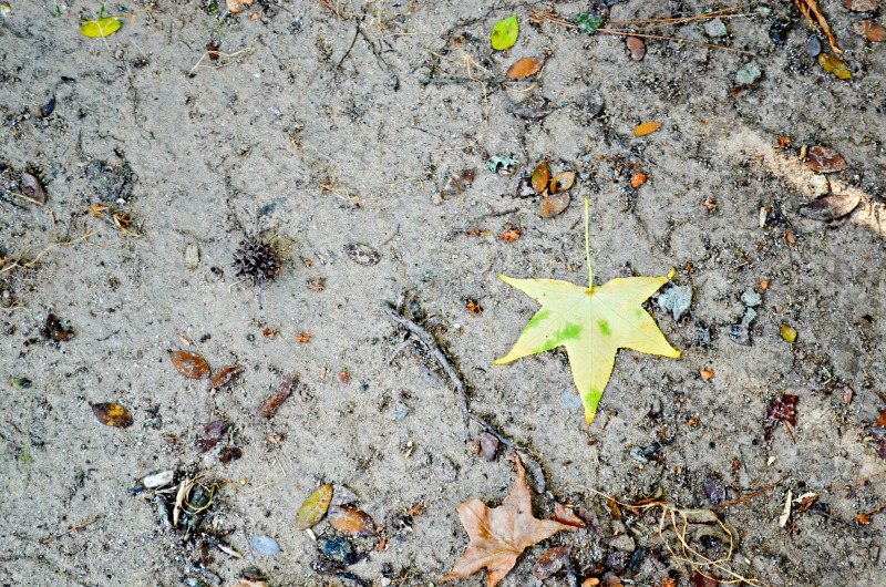 Kate Eschbach Photography-35a