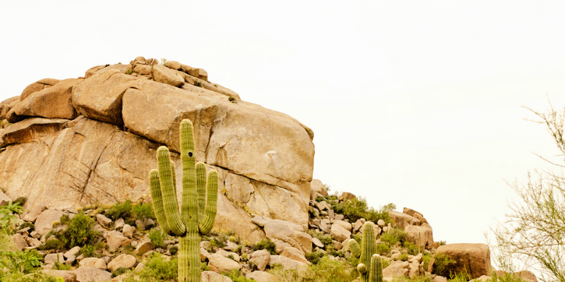 Kate Eschbach Photography-4a