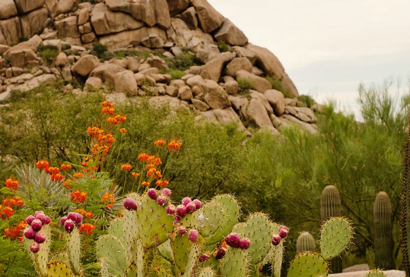 Kate Eschbach Photography-5a