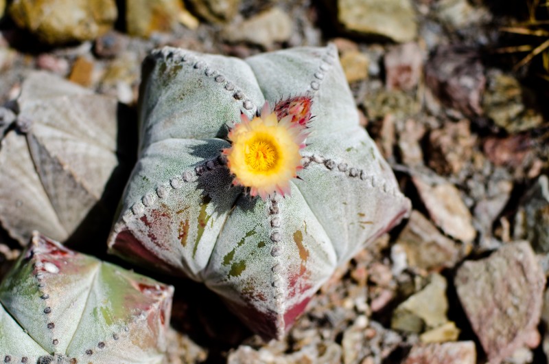 Kate Eschbach Photography-84