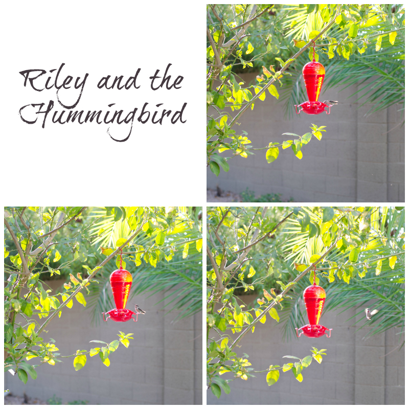 Kate Eschbach Photography-1a