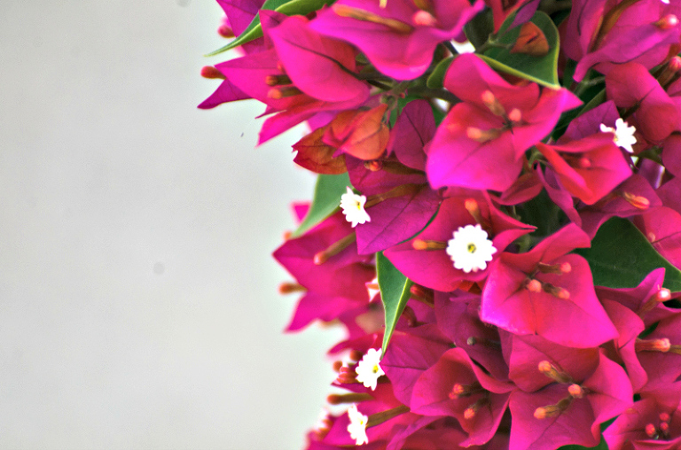 Kate Eschbach Photography-1a