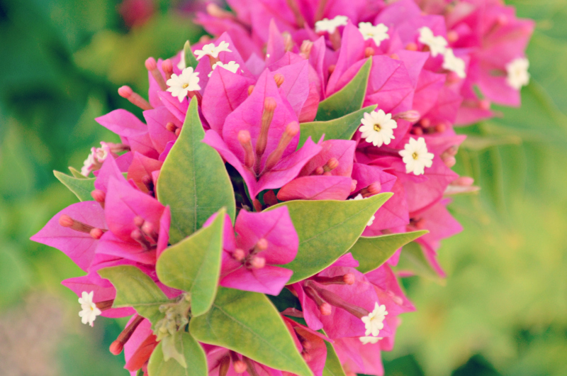 Kate Eschbach Photography-7a